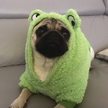 Qwoty